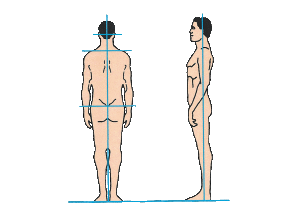 plumblines